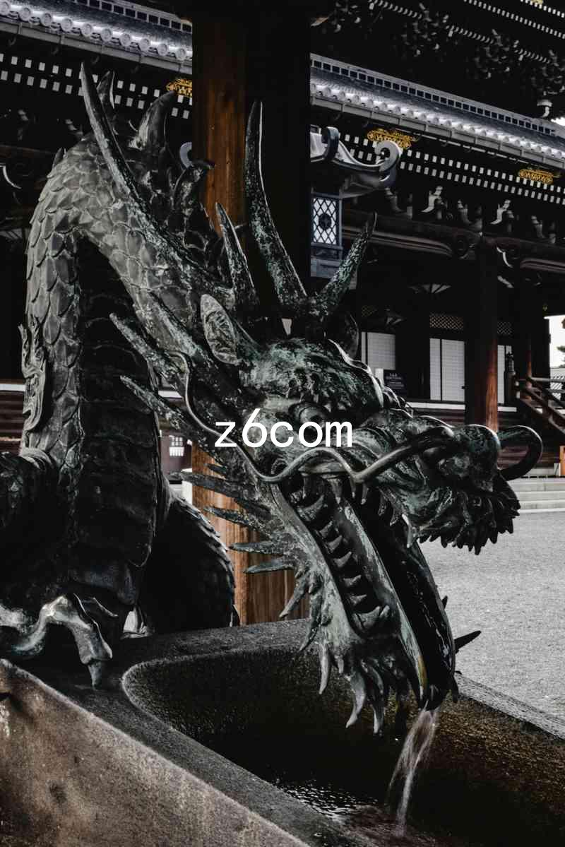 z6com