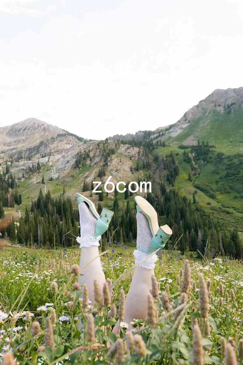 z6com